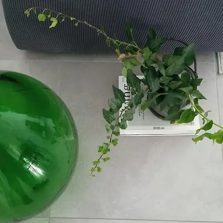 Apartament Casa Mev E Un Attico In Centro A *