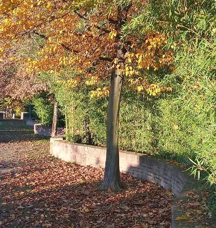 Casa Mev è Un Attico In Centro A Fiume Veneto