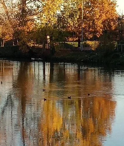 Casa Mev E Un Attico In Centro A Apartament *